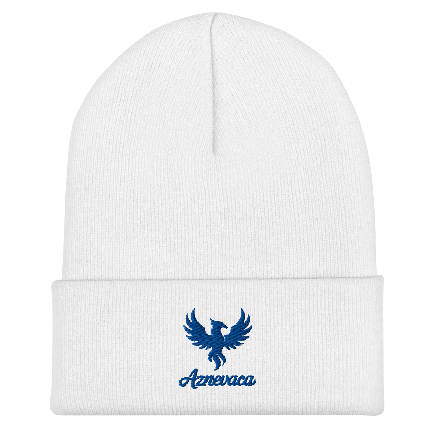 Obscura Beanie with Blue logo