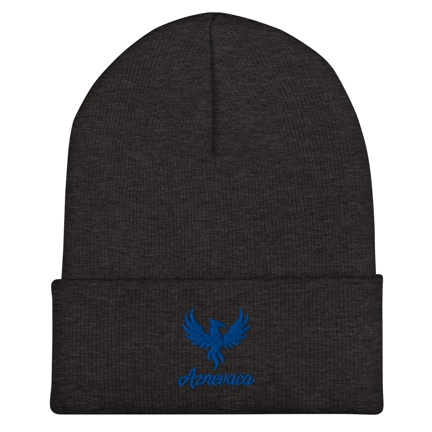 Obscura Beanie with Blue logo