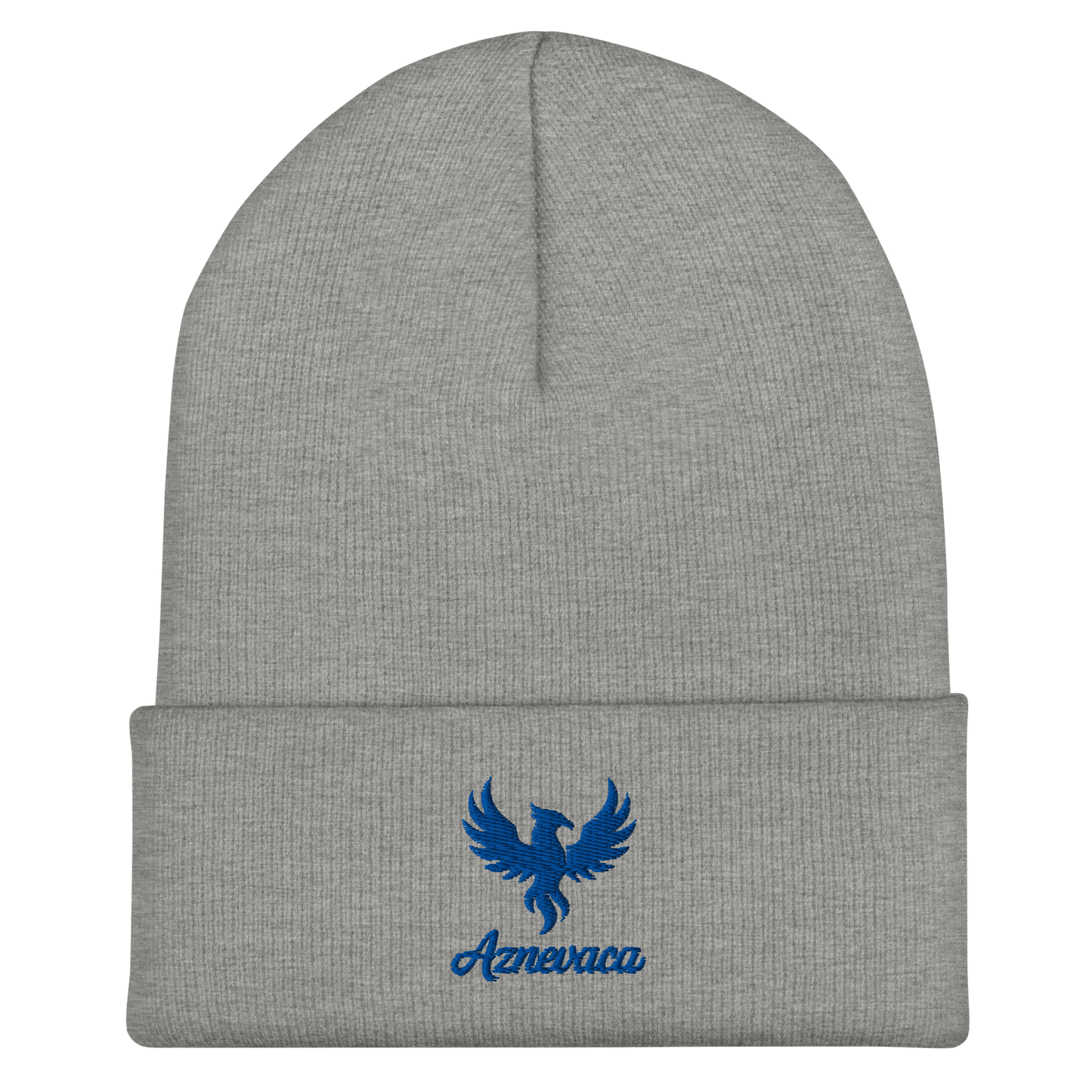 Obscura Beanie with Blue logo