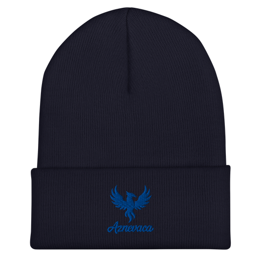 Obscura Beanie with Blue logo